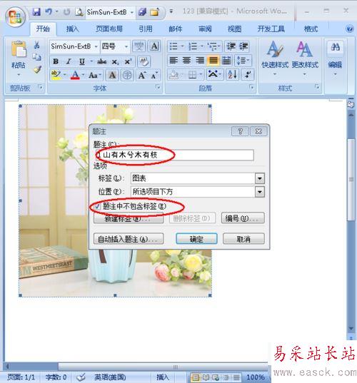 給word中的圖片添加注釋的方法