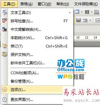 WPS文檔保密技巧，保護信息安全