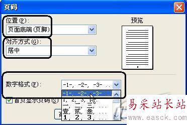 在WPS 2007中插入漂亮的頁碼樣式_錯新站長站Vevb.com整理