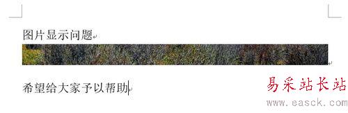 Word2013圖片顯示不全怎么辦？Word2013圖片顯示不全的方法
