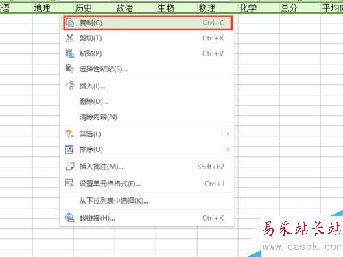 怎樣用wps快速錄入一張成績單？