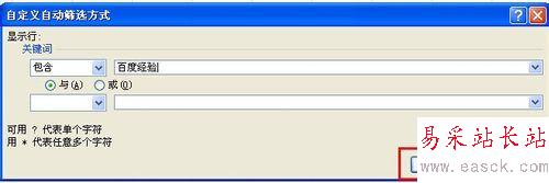 excel2010中對指定數據進行篩選的設置方法