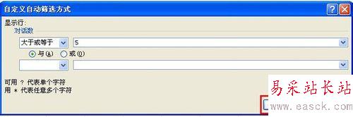 excel2010中對指定數據進行篩選的設置方法