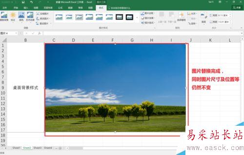 Excel2016怎么替換已插入的圖片？Excel2016替換圖片教程