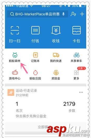 支付寶,蟻森林,明星