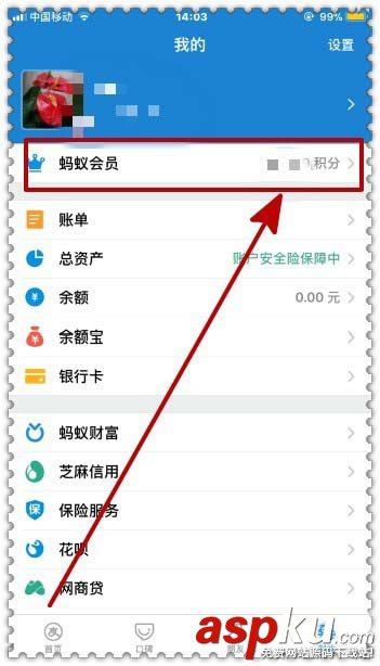 支付寶,積分,雙11