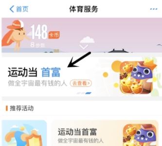 支付寶,運動,首富