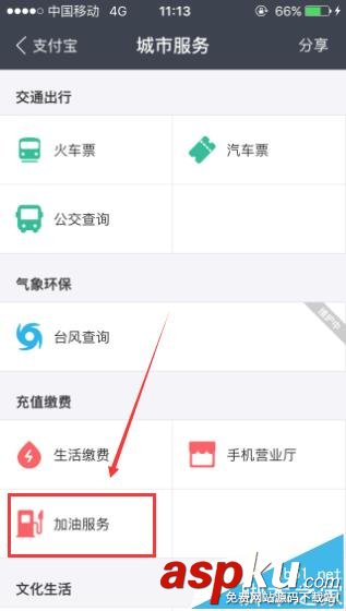 支付寶,中石化,加油卡