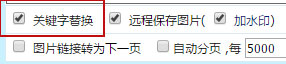 取消關鍵詞替換