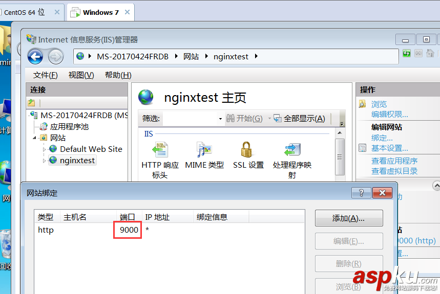 iis,nginx,負載均衡