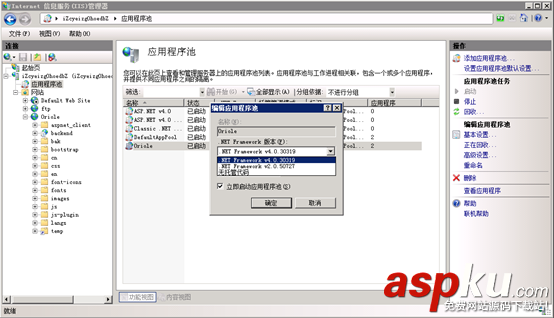 IIS,部署項目