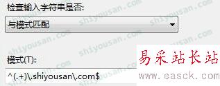 規則添加的模式屬性