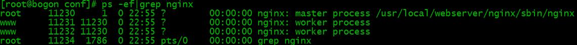 nginx,安裝