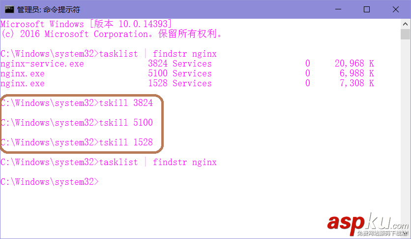 Server2016,Nginx,安裝配置
