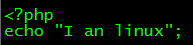 nginx,虛擬主機,vhost