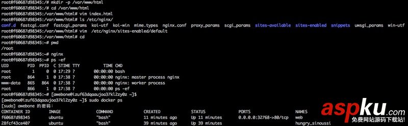 docker部署nginx,docker,nginx,配置,安裝nginx