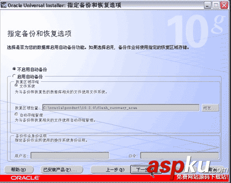 Oracle,10g,服務器