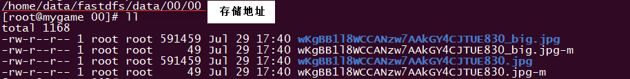 nginx,1.13.3配置,FastDFS,安裝,配置