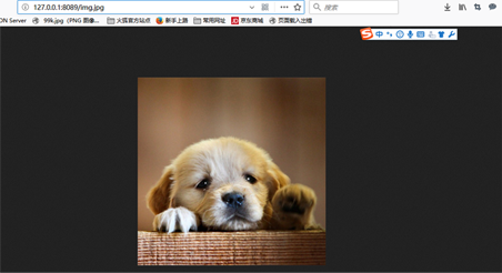 Nginx,搭建,圖片服務器