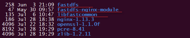 nginx,1.13.3配置,FastDFS,安裝,配置