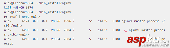 nginx,信號集