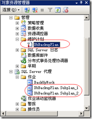 SQL,Server,自動備份