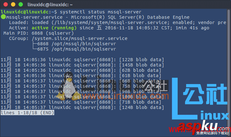 Ubuntu,安裝,SQL,Server,SqlServer,for,Linux