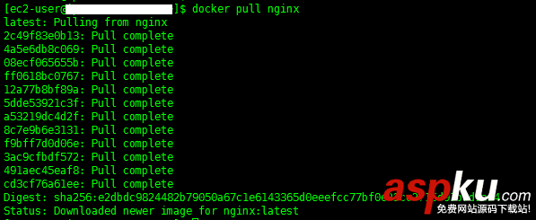 docker,入門教程