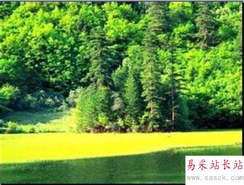 怎樣讓PPT圖片永不停止的循環播放？
