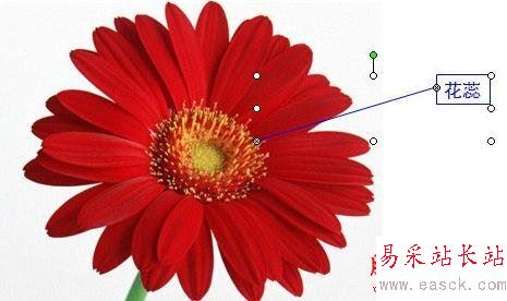 ppt中觸發器使用的詳細教程