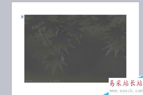 PPT圖片由模糊到清楚怎么設置？