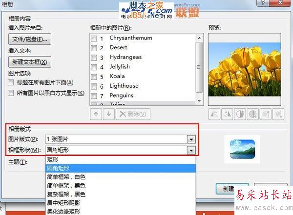 如何批量將圖片快速導入到PowerPoint2013中