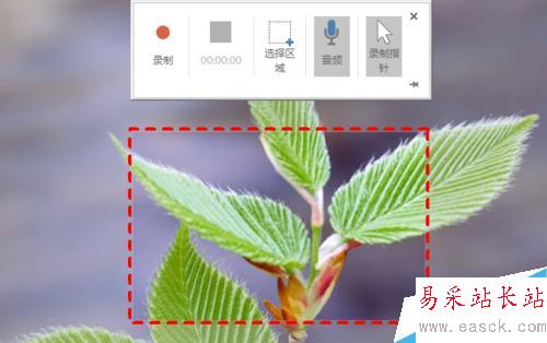 用 PowerPoint 錄制記錄軟件操作過程的屏幕錄像