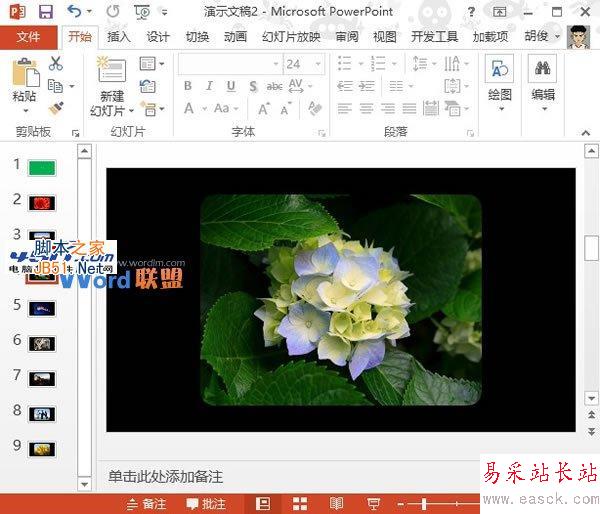 如何批量將圖片快速導入到PowerPoint2013中