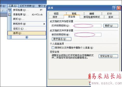 錯新站長站