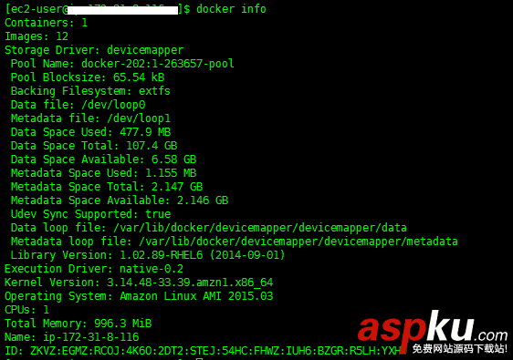 docker,入門教程