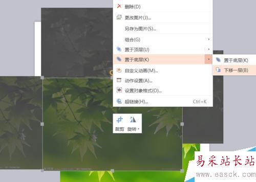 PPT圖片由模糊到清楚怎么設置？
