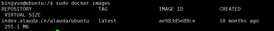 docker搭建java,web,docker,運行java,搭建web應用
