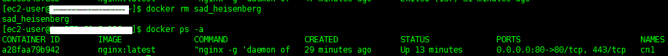 docker,入門教程