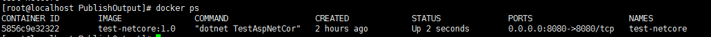 asp.net,core,docker,Docker運行ASP.NET