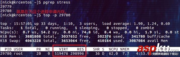docker限制容器內存,docker,容器內存