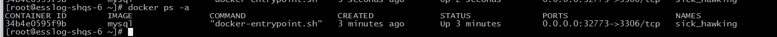 docker,mysql數據庫,mysql,使用