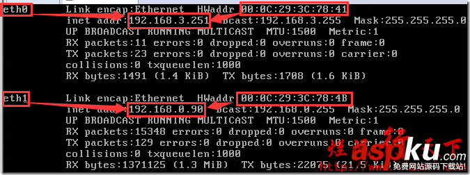 vmware,workation,雙卡