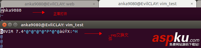 vim,自動備份,備份文件