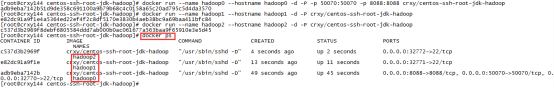 docker搭建hadoop集群,docker,搭建hadoop,hadoop集群
