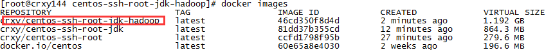 docker搭建hadoop集群,docker,搭建hadoop,hadoop集群