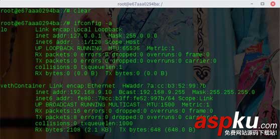 docker,容器,靜態ip,docker設置靜態ip,docker靜態ip