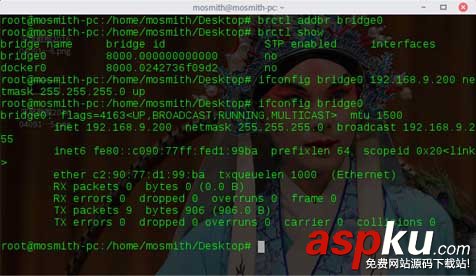docker,容器,靜態ip,docker設置靜態ip,docker靜態ip