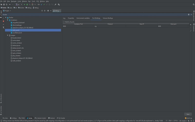 phpstorm,docker,腳本,debug
