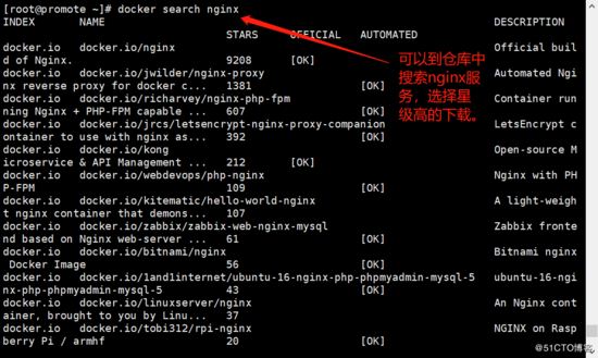 Docker,容器,內網,獨立IP